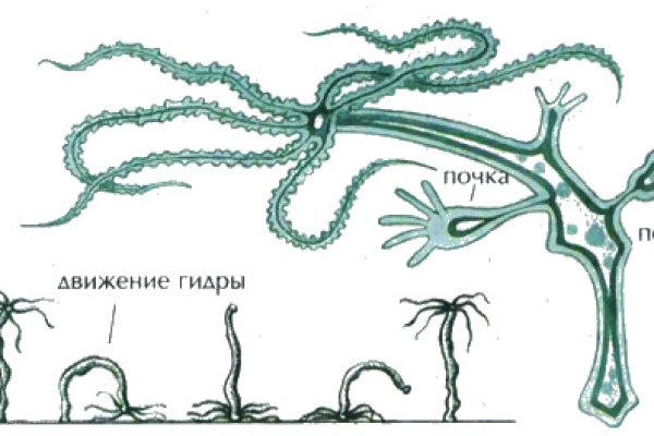 Kraken рынок