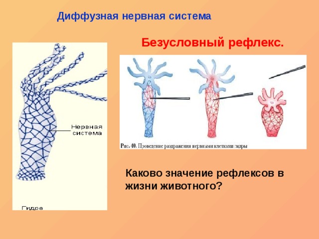 Как восстановить аккаунт на кракене даркнет