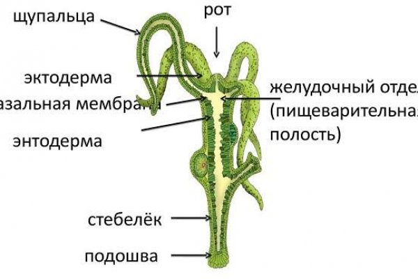 Кракен kr2web in сайт официальный